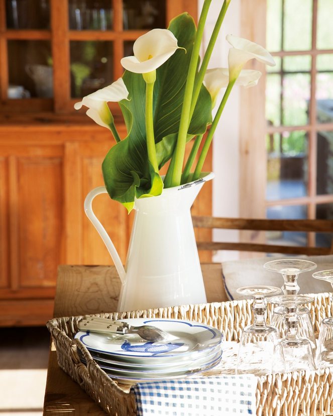 detalle_de_jarra_con_calas_1024x1280