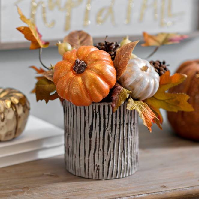 20708502_10155086619959671_4164021791273517841_n